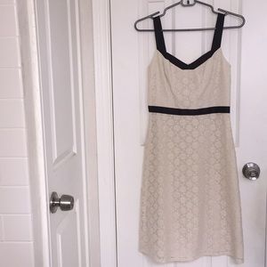 NWOT LOFT Lace Dress with Black Trim